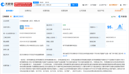 小米在武漢成立智能電器公司 注冊(cè)資本4.5億的戰(zhàn)略布局與信息咨詢服務(wù)新機(jī)遇
